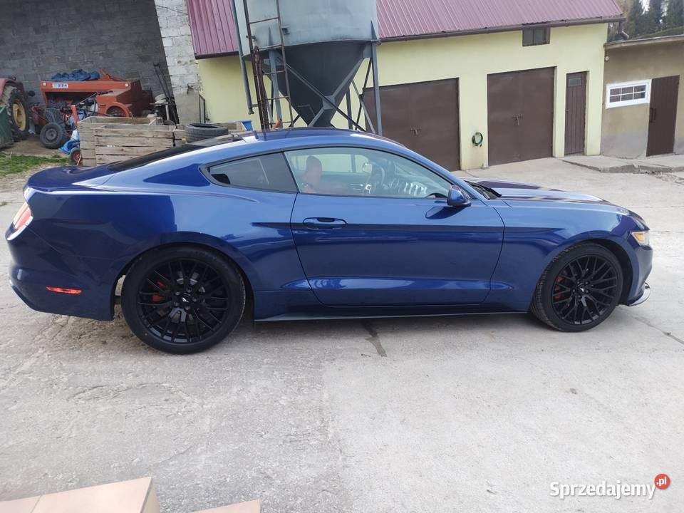 Ford Mustang 37 V6 VI generacja roush Mustang Kraków