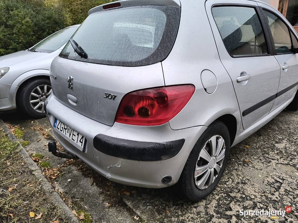 Peugeot 307 Gaz Hak nieuszkodzony 307 sprzedam