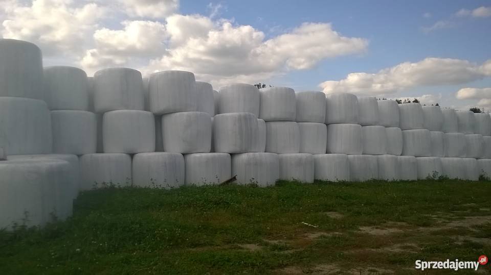 Baloty sianokiszonka Sętal