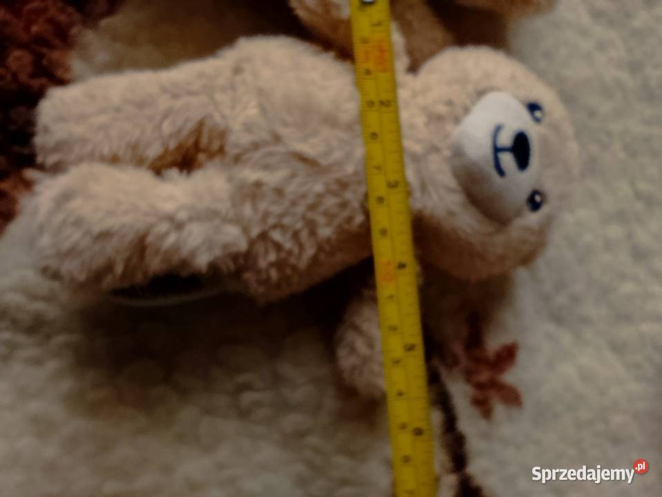 misie zabawki pluszowe maskotki komplet wielkopolskie Poznań