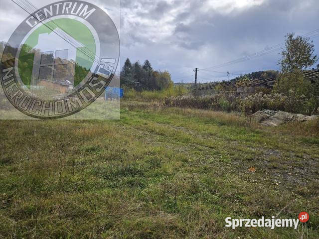 Lokal 260m2 Nowy Sącz