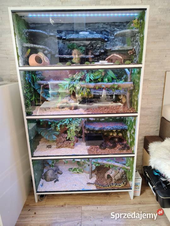 Regał terrarystyczny Tychy sprzedam