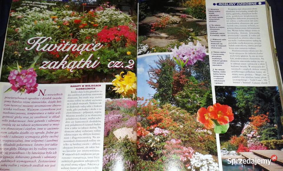 Twój ogród na to zasluguje Działkowiec 2004 12 Chełm