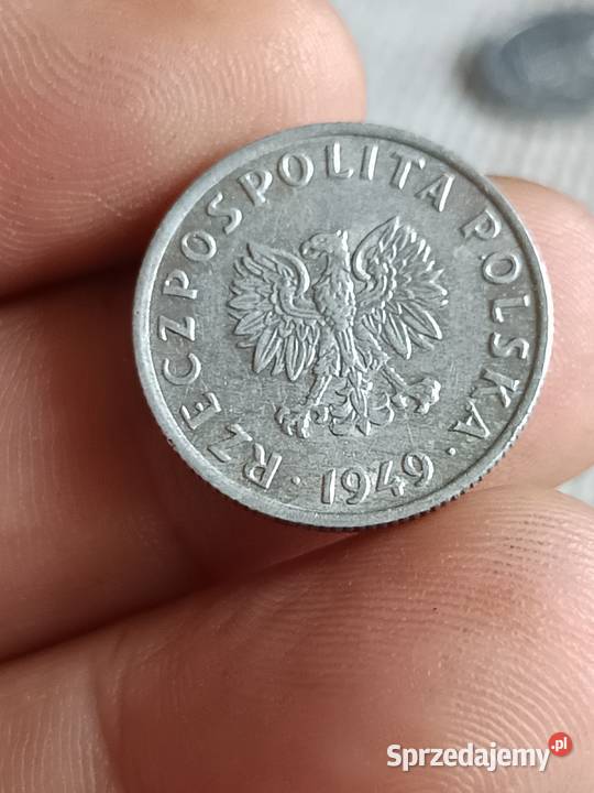Sprzedam groszy 1949 jjjj Chełm sprzedam