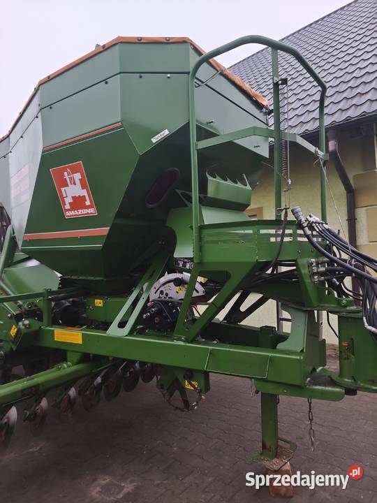 Siewnik Amozone pomorskie Ostrowite