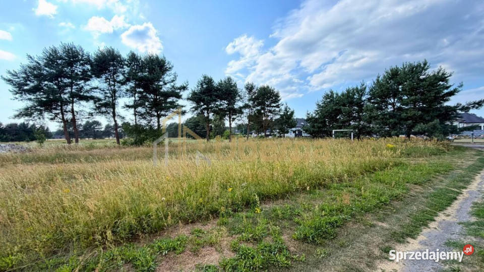 Działka 2684 m w zielonej okolicy Modrzewie zachodniopomorskie