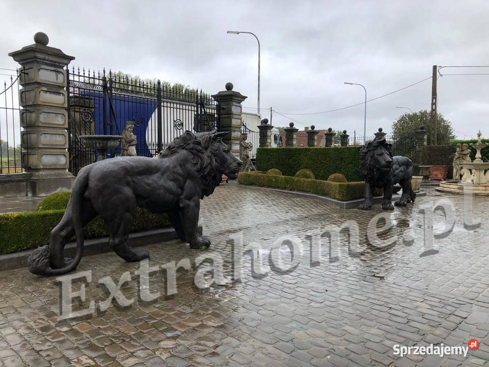 Lew z brązu H150 figura z brązu dolnośląskie Wrocław sprzedam