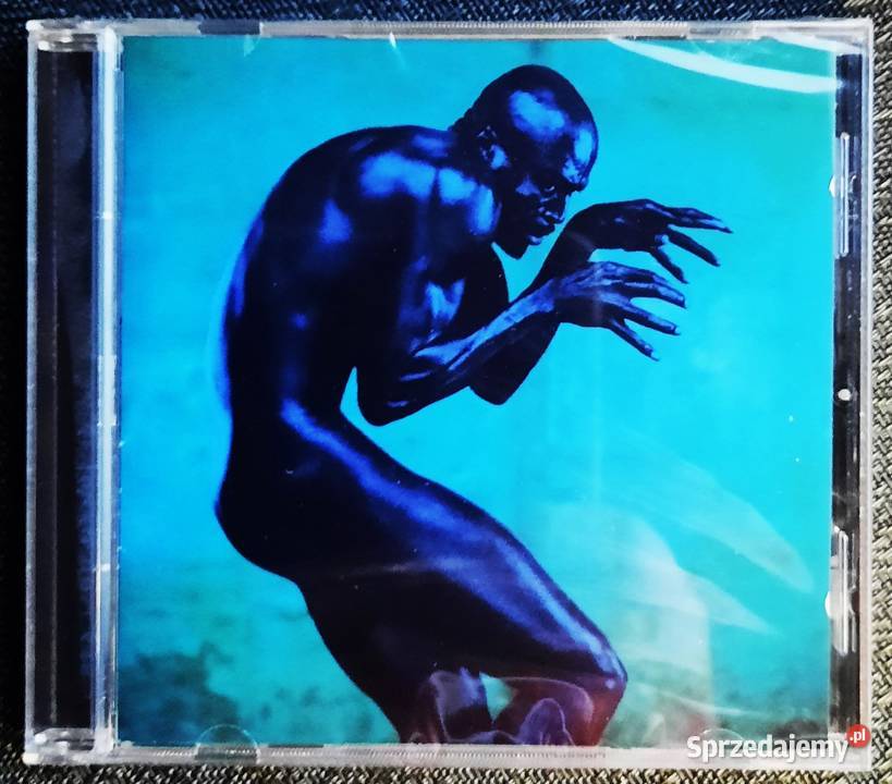 Wspaniały Album CD SEAL Album Human Being CD Katowice