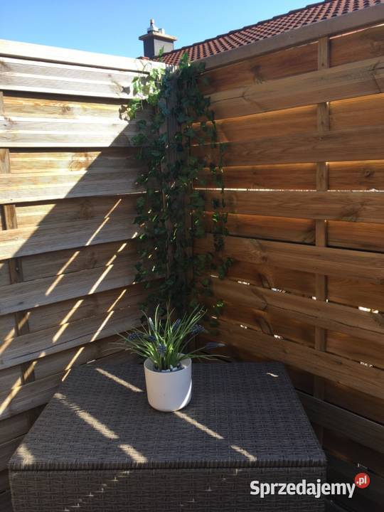 Sztuczny bluszcz 50 m na ścianę balkon taras Poznań
