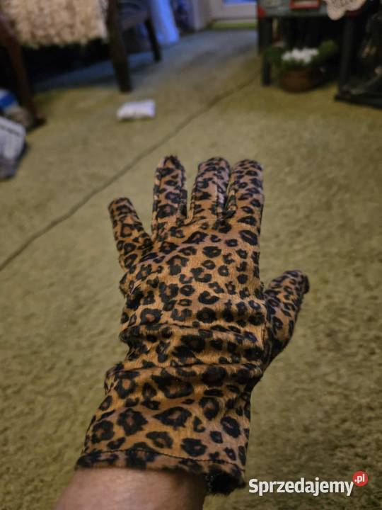 Rękawiczki wyjściowe zwykłe sprzedam