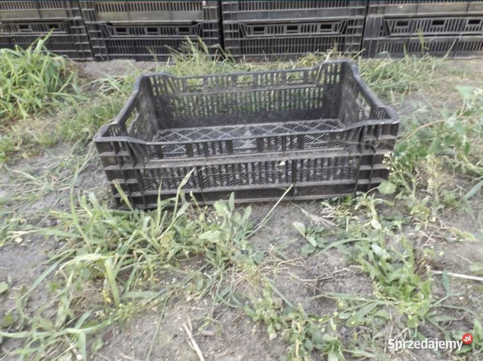 Skrzynka ogrodnicza Siedlce