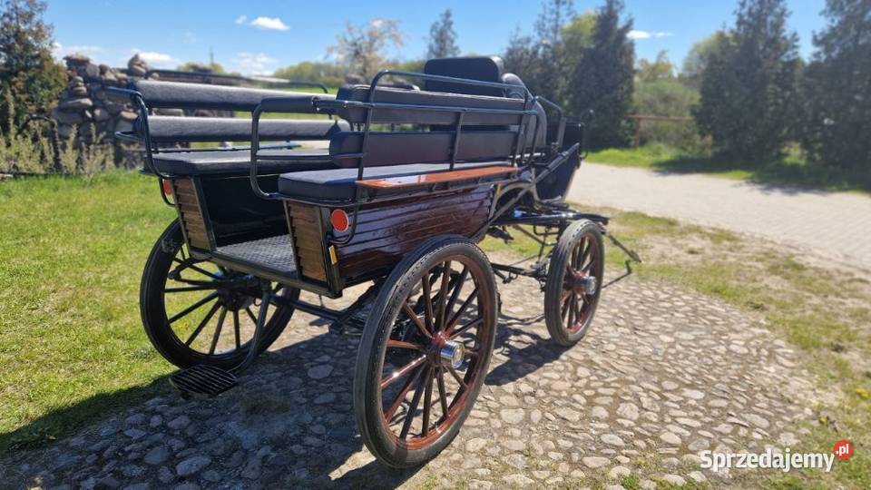 Powóz konny bryczka Wagonetka na 1 i 2 konie Dolsk