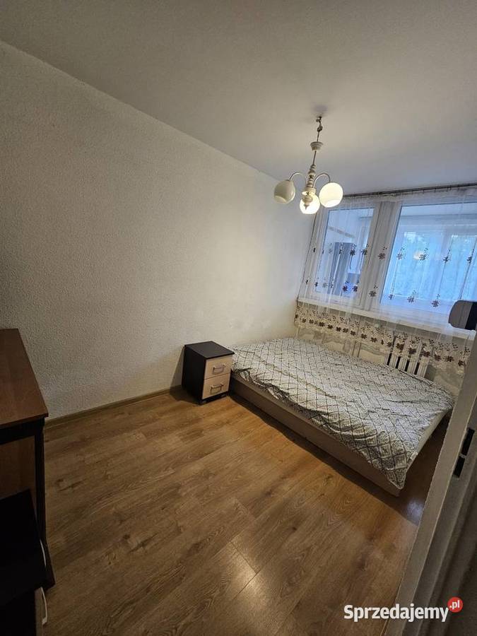 Mieszkanie w Oleśnicy Oleśnica