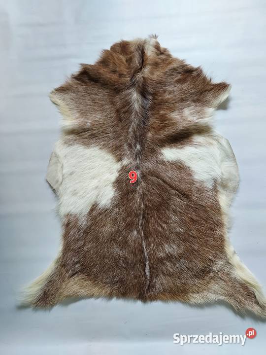 Skóry z Kóz Naturalne Skóry Dekoracyjne Skóra Szaflary sprzedam