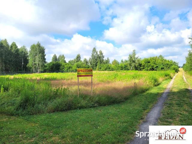Grunt 1038m2 Łazy lubelskie