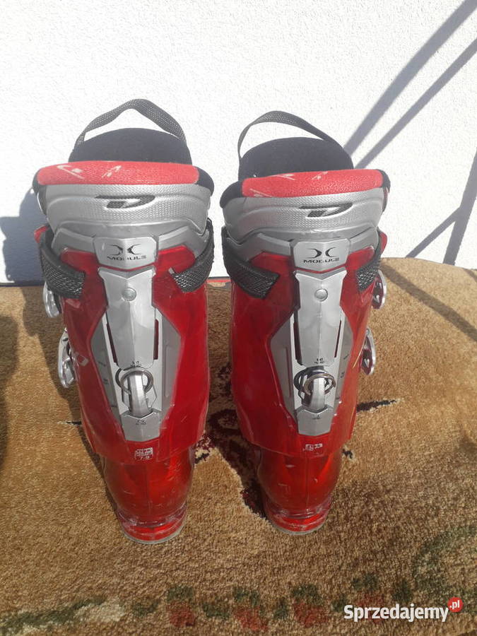 Sprzedam buty narciarskie DALBELLO rozmiar 45 Dziki