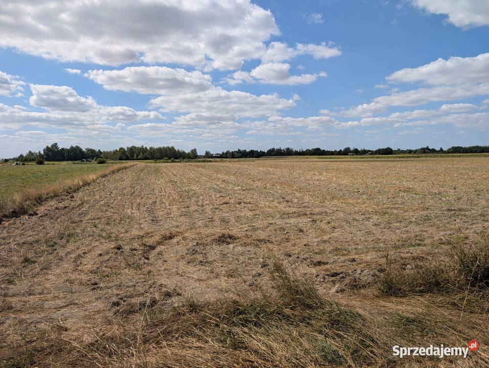 Działka inwestycyjna w Gałowie 3000m rolna Sprzedaż Gałów sprzedam