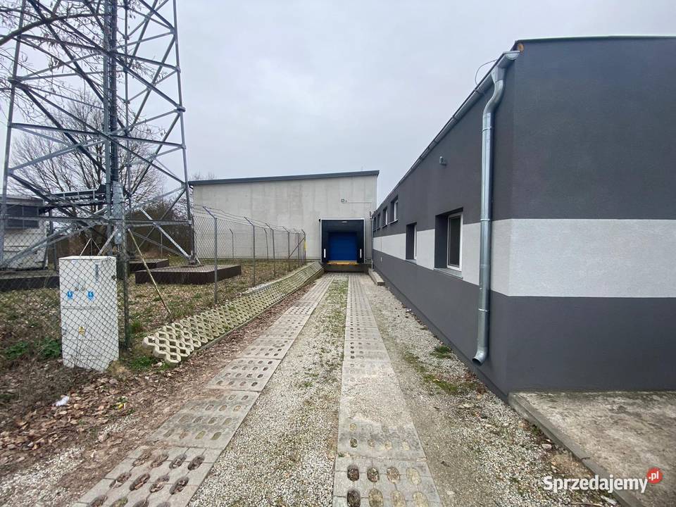 Hala Magazyn 1 400 m2 Wyszyny