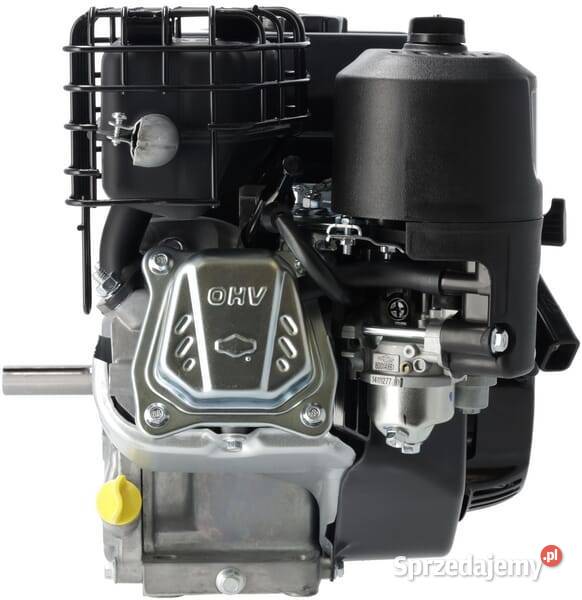 Silnik wał poziomy 1062320272F1 Kamionna