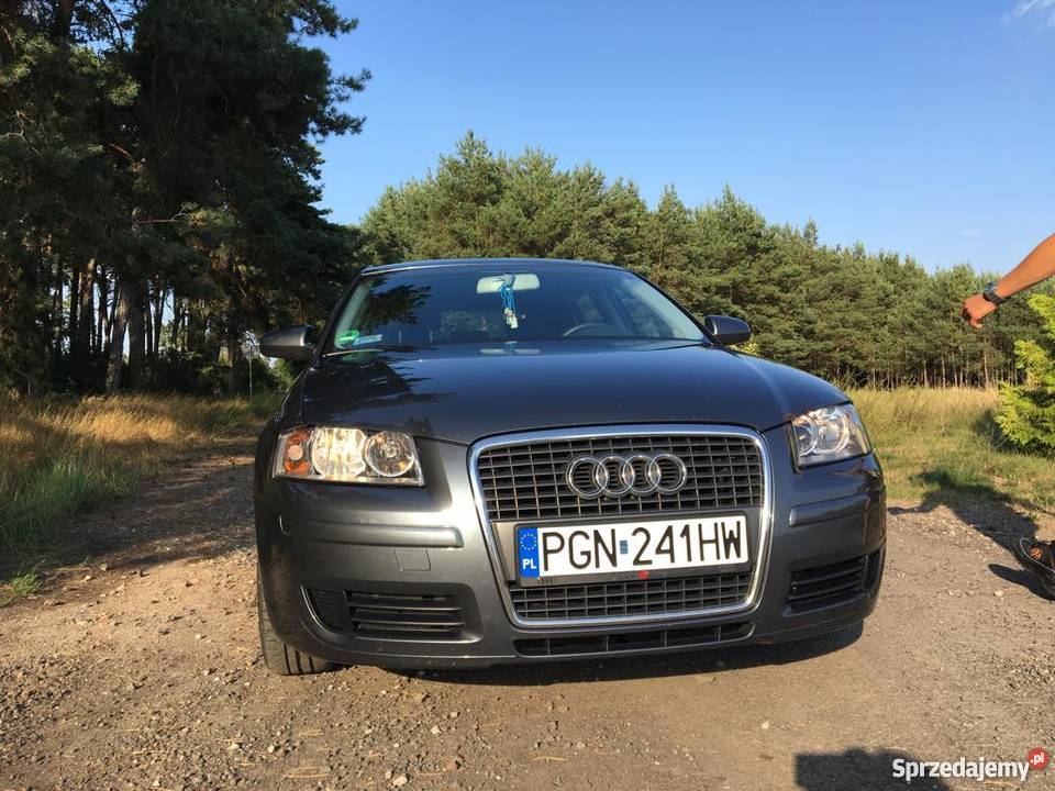 Audi A3 20 tdi kod silnika bmm A3 wielkopolskie