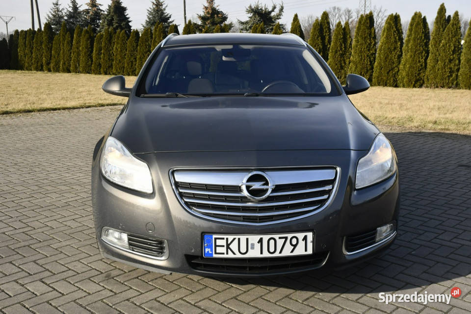 Opel Insignia 20D DUDKI11 Kutno