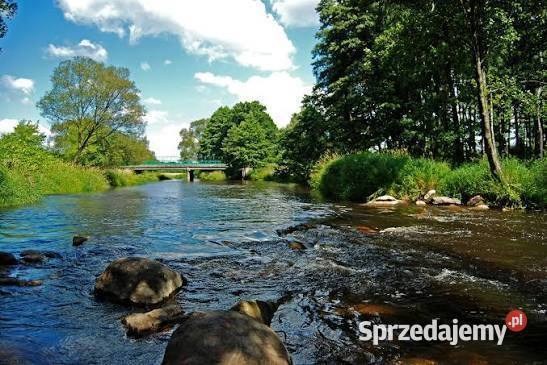 Działka Rolno Budowlana z Lasem asfalt śląskie