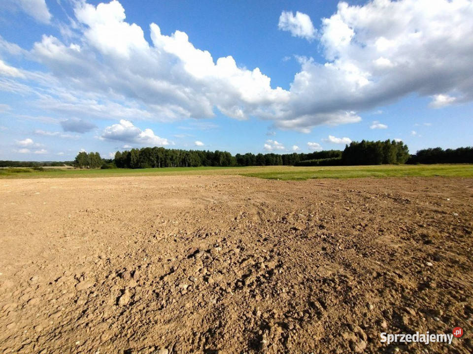 sprzedaży gruntu Lisów 1081m2 kanalizacja