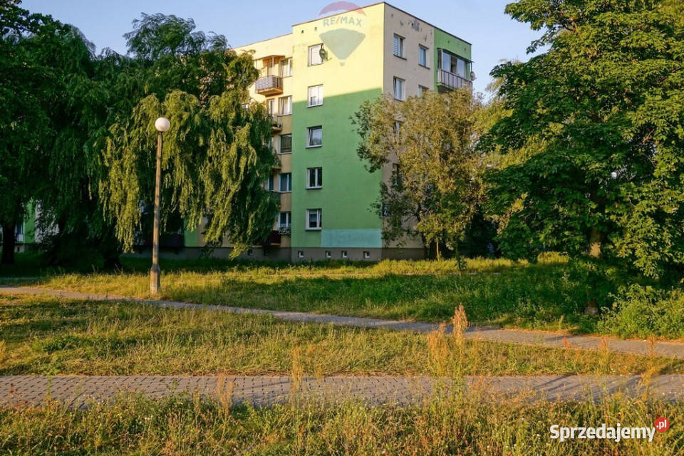 63m2 z balkonem Osiedle Wschód Żyrardów Liczba pokoi 3