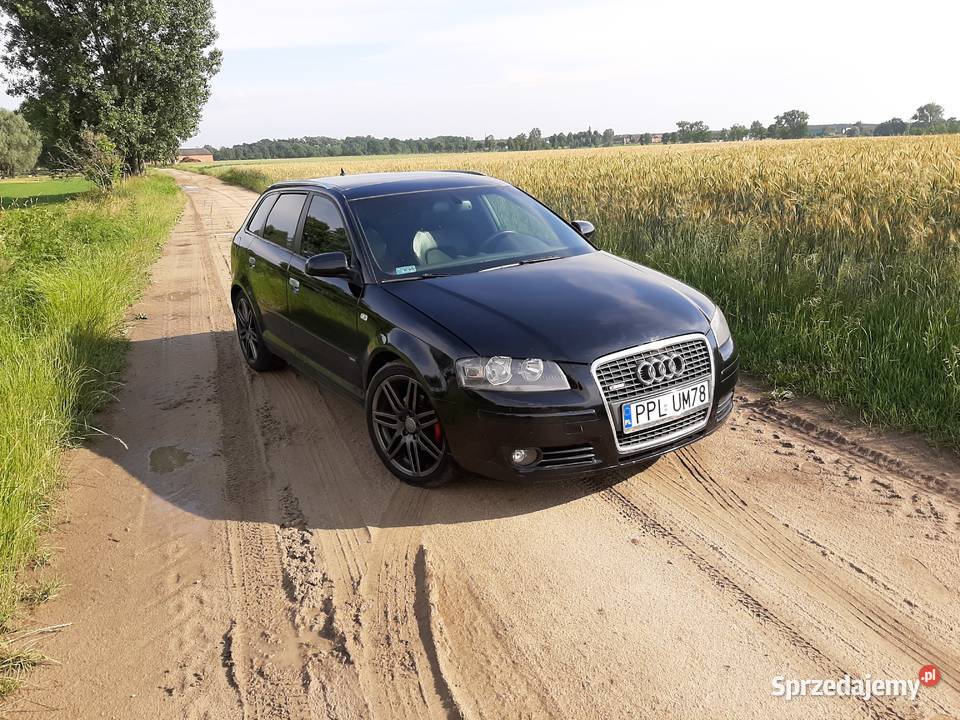 Audi A3 8P Sportback 2007 Silnik 20 TDI wersja Pleszew