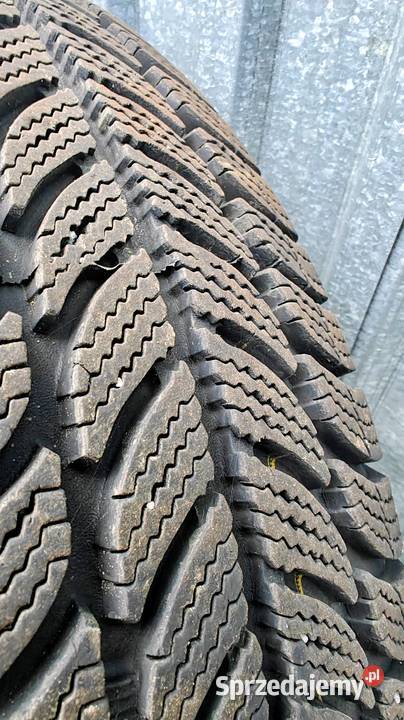 Felgi stalowe z oponami Dębica Frigo na zimę podkarpackie