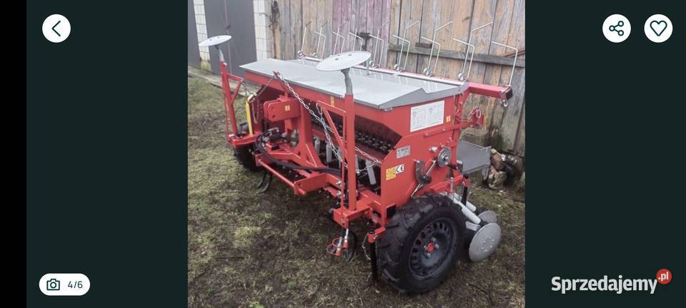 Siewnik Meprozey lubelskie Bokinka Pańska