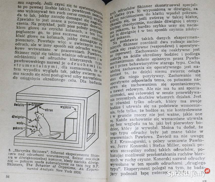 Główne idee współczesnej psychologii Tadeusz Rok wydania 1986 Pozostałe Pozostałe