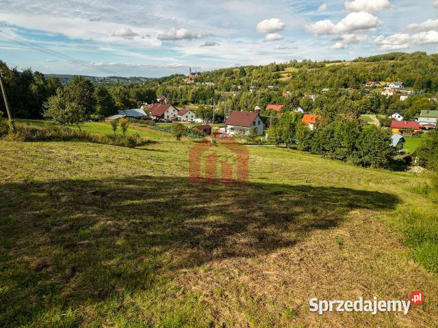 Grunt Lubenia 2932m2 sprzedam
