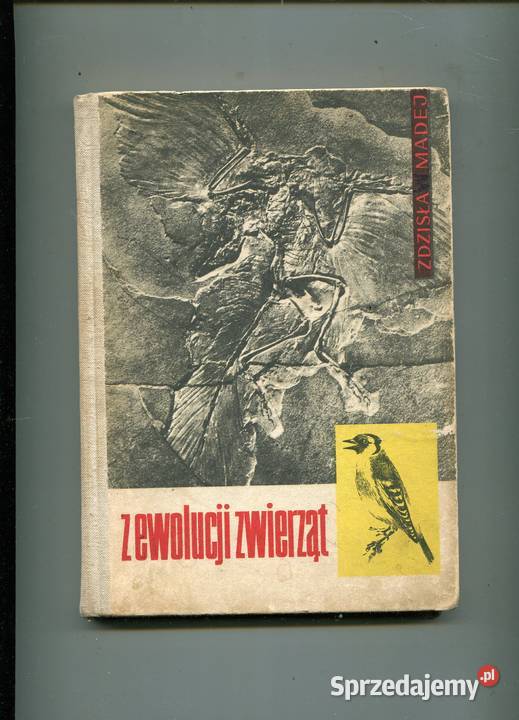 Z ewolucji zwierząt Zdzisław Madej Szczecin