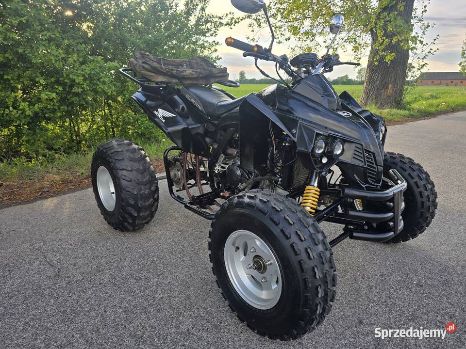 Quad EGL Rush Mad 250cc 41r Rama xxl manualna kujawsko-pomorskie