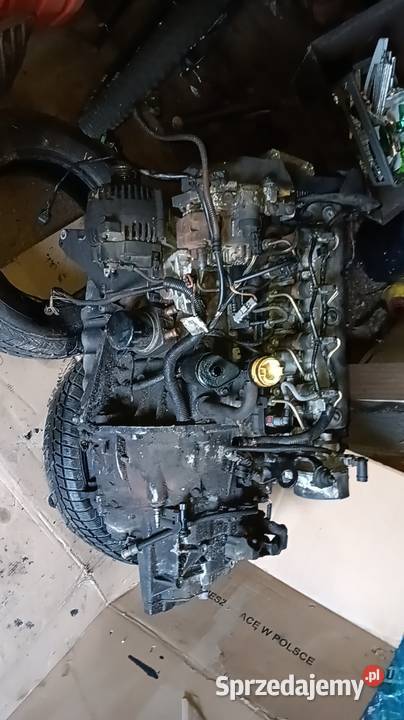 F9Q Silnik19dci 120 F9Q renault Człuchów