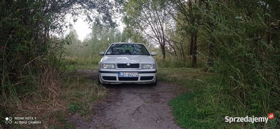 Skoda Octavia 19 TDI polski salon drogi manualna Siedlce