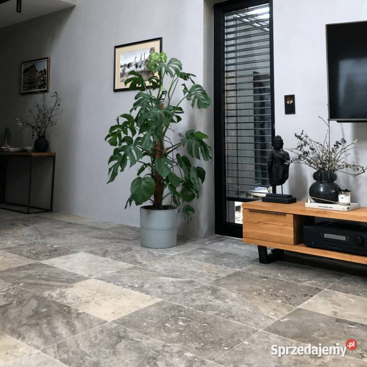 Płytki Trawertyn Silver Ash szlifowane i Gdynia