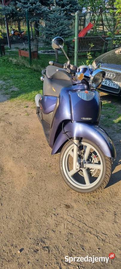 Aprilia Scarabeo Skuter 1253 silnik rotax
