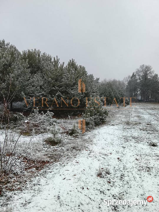 działka budowlana 3600 m w Groszowicac Groszowice sprzedam