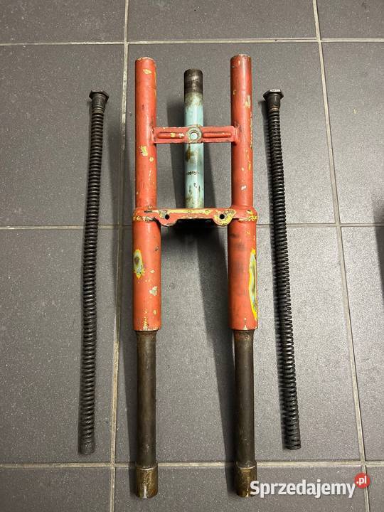 Ryś Żak przód wielkopolskie