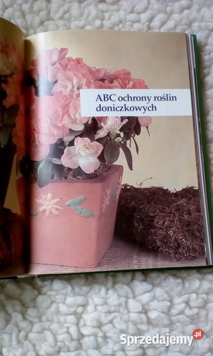 Uprawa kwiatów w domu Książki i Podręczniki