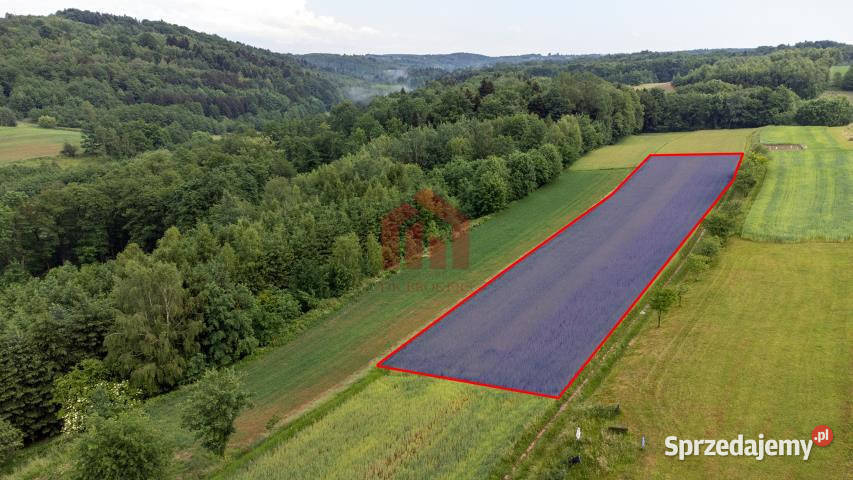 Grunt 2800m2 Zagorzyce sprzedam