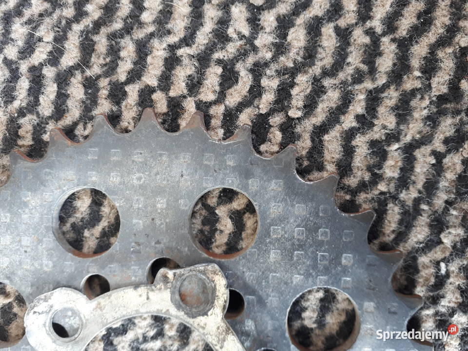 Piasty szczękotrzymacze koła komar romet ogar podkarpackie Rzeszów