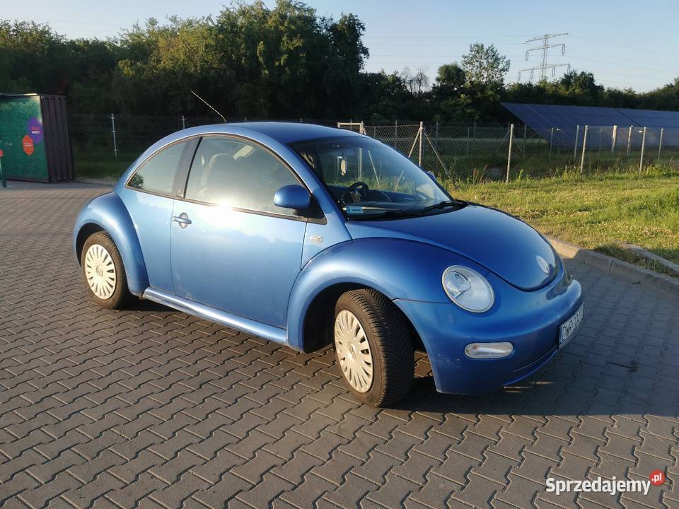 Beetle Wrocław