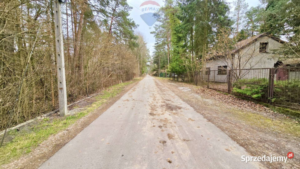 Działka zabudowana Zalesie Górne Kwiat Paproci