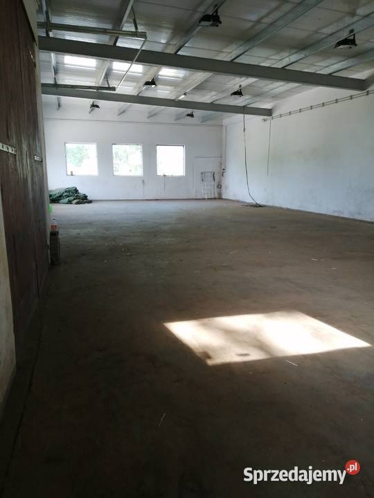 Zakład na dowolną działalność lubuskie Szprotawa