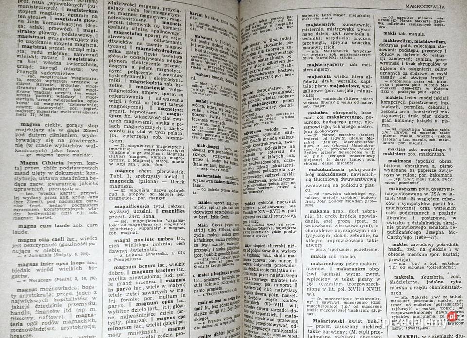 Słownik wyrazów obcych i zwrotów obcojęzycznych Chełm