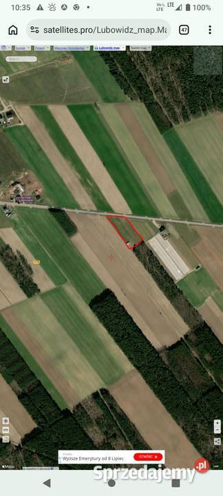 Działka budowlana 2695m2 w Lubowidzu woj Lubowidz sprzedam