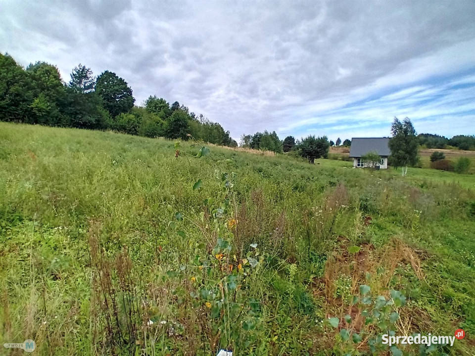 Grunt Morawica 800m2 świętokrzyskie